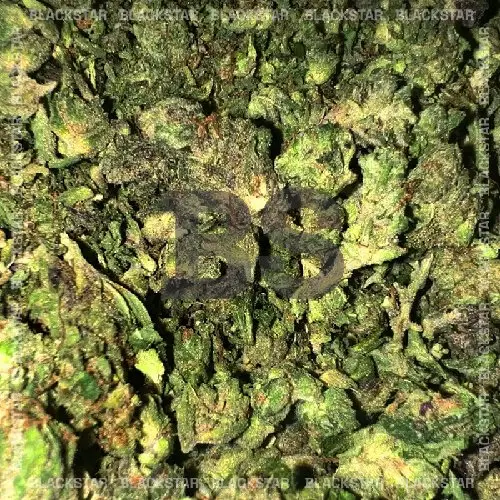 Бошки Girl Scout Cookies